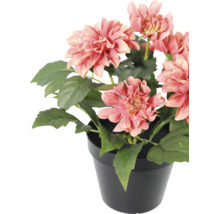Kunstmatige dahlia in zwarte pot met roze bloemen en groene bladeren.