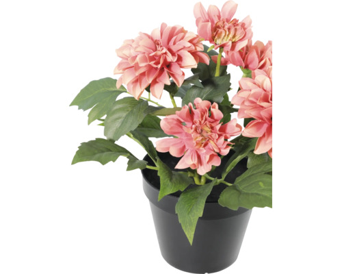 Kunstmatige dahlia in zwarte pot met roze bloemen en groene bladeren.