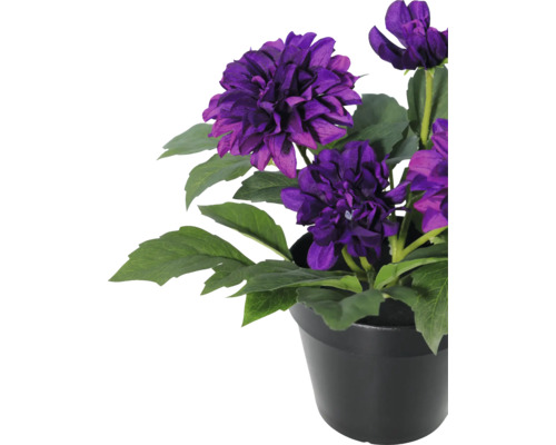 Kunstmatige dahlia in zwarte pot met paarse bloemen en groene bladeren.