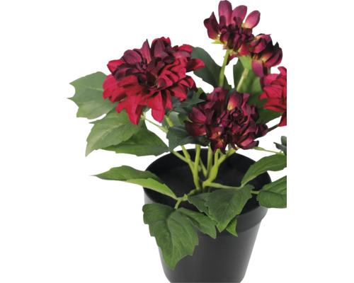 Kunstmatige dahlia in een zwarte pot met donkerrode bloemen en groene bladeren.