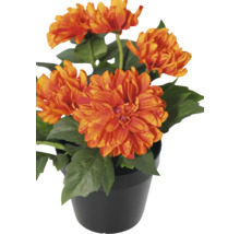Kunstmatige dahlia in een zwarte kunststof pot met oranje bloemen en groene bladeren.