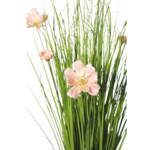 Kunstgras met lichtroze cosmea bloemen.