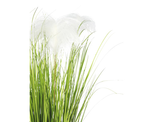 Kunstsiergras met witte, veerachtige pluimen en groene sprieten.
