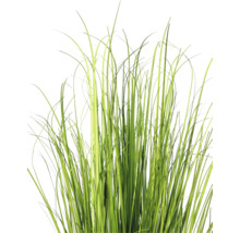 Kunstmatig siergras met lange, smalle sprieten voor binnendecoratie.