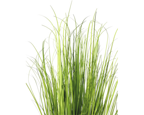 Kunstmatig siergras met lange, smalle sprieten voor binnendecoratie.