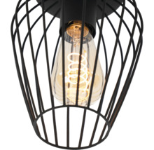 Detailopname van een zwarte metalen draadkorflamp met een verlichte decoratieve lamp met spiraalfilament.