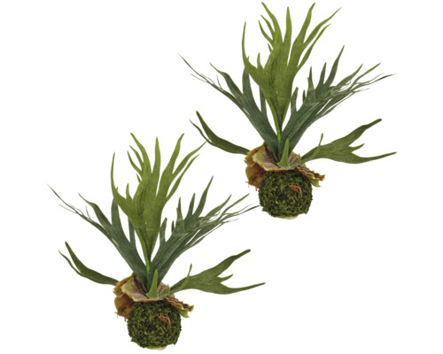 Twee kunstmatige hertshoornvarens met groene bladeren en een met mos bedekte basis ter decoratie.