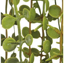Kunstmatige hangplant, gedetailleerde replica van een succulent met kleine ronde bladeren en buigzame ranken voor interieurdecoratie.