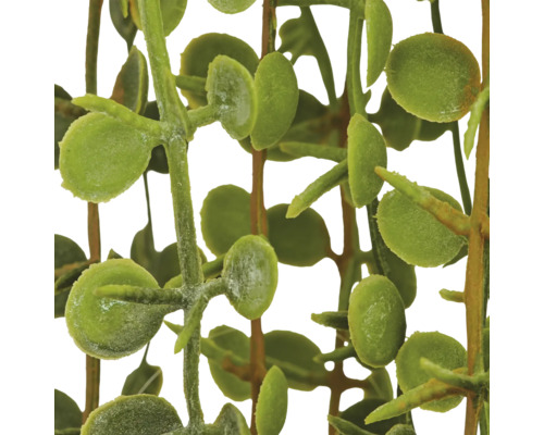 Kunstmatige hangplant, gedetailleerde replica van een succulent met kleine ronde bladeren en buigzame ranken voor interieurdecoratie.