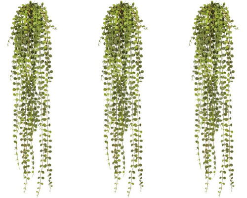 Drie kunsthangplanten met vele kleine groene bladeren aan lange ranken.