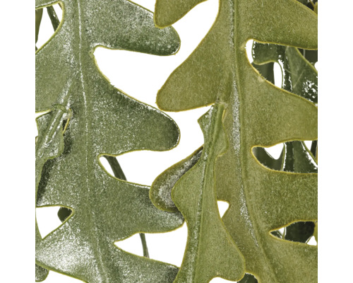 Detailopname van een groene kunstmatige bladslinger met een fluweelachtig, gevloekt oppervlak en gekartelde bladranden.