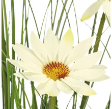 Kunstmatige witte bloem met geel hart en lange groene grasbladeren.