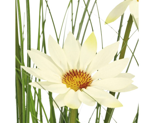 Kunstmatige witte bloem met geel hart en lange groene grasbladeren.