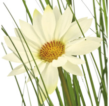 Kunstwaterlelie met witte bloembladen, geel hart en groene grassprieten.