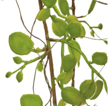 Kunstplantentak met ronde bladeren en bruine stelen van kunststof.