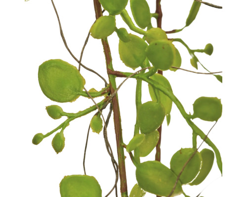 Kunstplantentak met ronde bladeren en bruine stelen van kunststof.