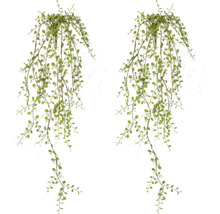 Kunsthangplant met kleine ronde bladeren, twee stuks.