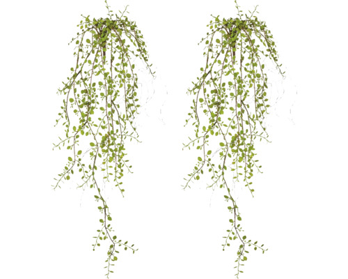 Kunsthangplant met kleine ronde bladeren, twee stuks.