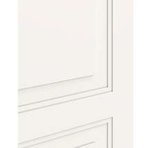 Detailweergave van een witte binnendeur met paneelprofiel en sierfrezing in landelijke stijl.