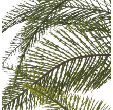 Detailopname van kunstmatige kamerciprestakken met fijne, groene naaldvormige bladeren.