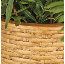 Detailopname van een plantenbak met een gevlochten oppervlaktestructuur en een plant.