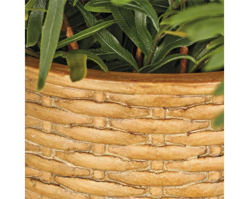 Detailopname van een plantenbak met een gevlochten oppervlaktestructuur en een plant.