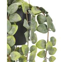 Kunstmatige hangplant in zwarte pot met hartvormige bladeren.