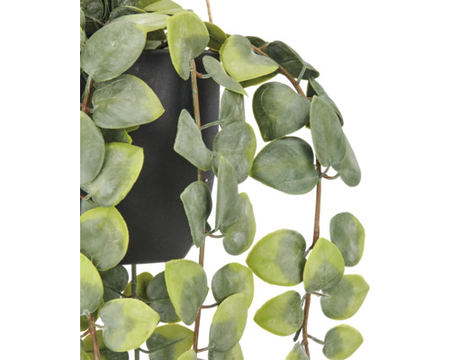 Kunstmatige hangplant in zwarte pot met hartvormige bladeren.