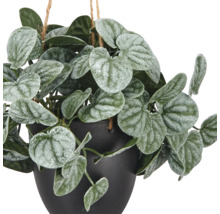 Kunstmatige hangplant met gedessineerde, hartvormige bladeren in een zwarte pot met touwophanging.