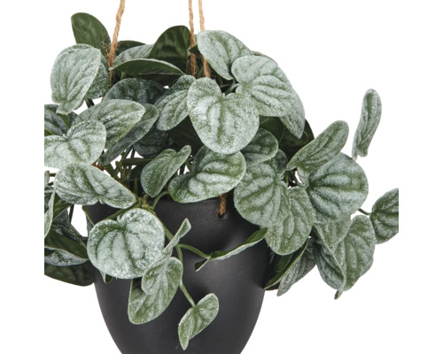 Kunstmatige hangplant met gedessineerde, hartvormige bladeren in een zwarte pot met touwophanging.