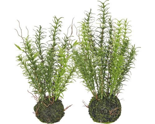 Kunstmatige rozemarijn in twee mosballen, decoratieve kunstplant voor binnen.