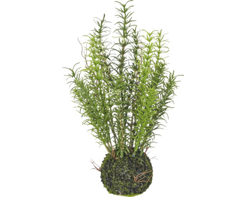 Kunstmatige rozemarijnplant in een mosbal.