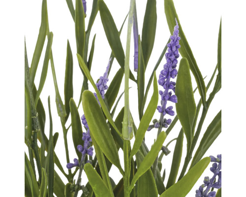 Kunstlavendel, detailweergave met groene bladeren en paarse bloemen.