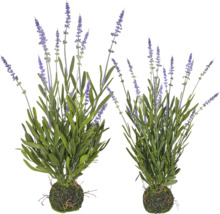Kunstlavendel in mosbal, twee stuks, natuurgetrouwe kunstplant met paarse bloemen en groene bladeren.