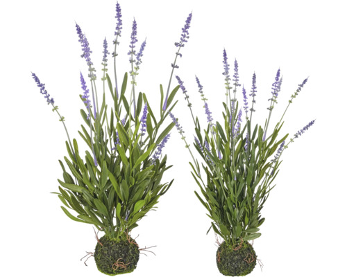 Kunstlavendel in mosbal, twee stuks, natuurgetrouwe kunstplant met paarse bloemen en groene bladeren.
