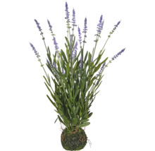 Kunstlavendelplant in een mosbal met groene bladeren en paarse bloemaren.