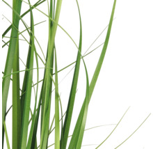 Detailopname van groene grasstengels van een kunstplant.