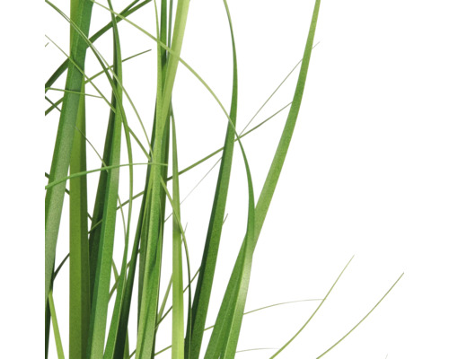 Detailopname van groene grasstengels van een kunstplant.