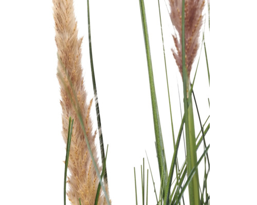 Detailopname van kunstmatig siergras met vederachtige pluimen en groene stengels.