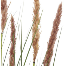 Close-up van kunstmatig pampasgras met gevederde pluimen en lange groene grassprieten voor binnenshuis.