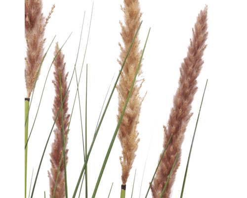 Close-up van kunstmatig pampasgras met gevederde pluimen en lange groene grassprieten voor binnenshuis.