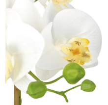 Kunstorchidee Phalaenopsis met witte bloemen, een geel hart en groene knoppen.