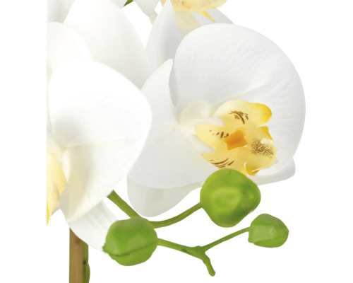 Kunstorchidee Phalaenopsis met witte bloemen, een geel hart en groene knoppen.