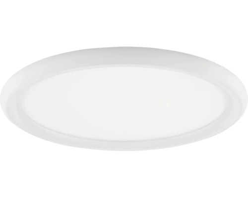 Ronde witte plafondlamp in plat ontwerp met opale diffuser.