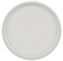 Ronde plafondlamp met vlak design.