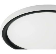Detailopname van een ronde plafondlamp met zwarte rand en witte diffusor.