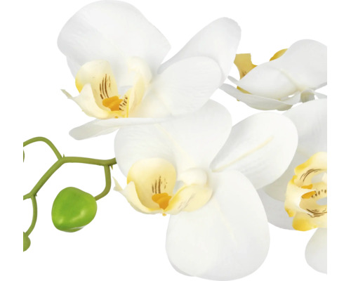 Kunstmatige orchidee Phalaenopsis met witte bloemen, een geel hart, groene stengel en een knop.