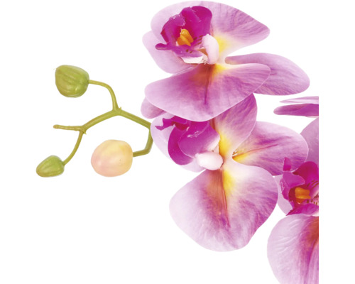 Kunstmatige orchideetak Phalaenopsis in roze en geel met bloemen en knoppen.