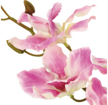 Kunstorchideetak met roze en witte bloemen.