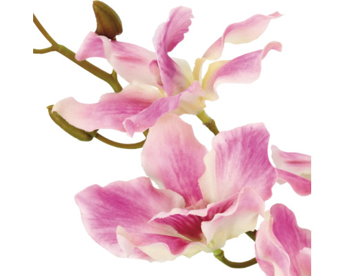 Kunstorchideetak met roze en witte bloemen.